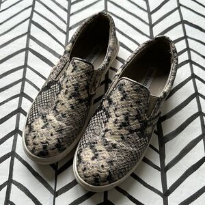 Steve Madden Size 9 Ecentric Vegan Leather Snake Skin Slip-On Sneakers